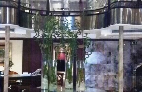 Luxor Cabin | Sonesta Nile Goddess Nile cruise ship - 4 & 7 nights - From Luxor every Monday