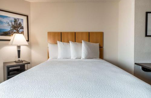 Fossil Creek Hotel | Sonesta Simply Suites Fort Worth