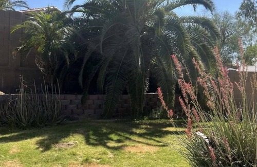 South Mountain House | South Mountains Views and Fun! Big back yard and Next to a park with playground