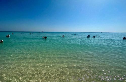 South Pointe Apartment | South of Fifth Family & Pet-Friendly Retreat Across from Best Beach in Miami