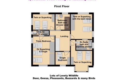 Wootton Wawen House | South View Country House Sleeps 12 - Hot Tub - Views