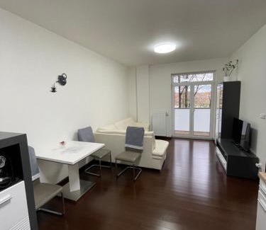 Karlovy Vary Apartment | SPA Apartment Moser