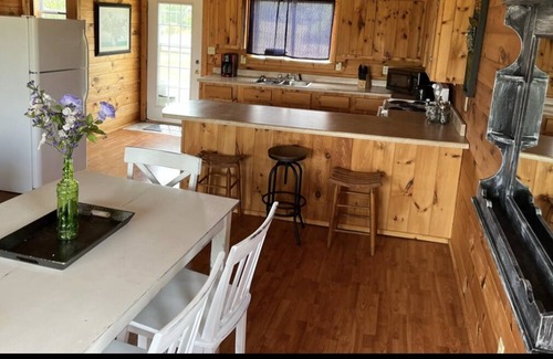 Dora Cabin | Spacious 1200sf cabin (6) in Ozark County near the river! Pets Ok!