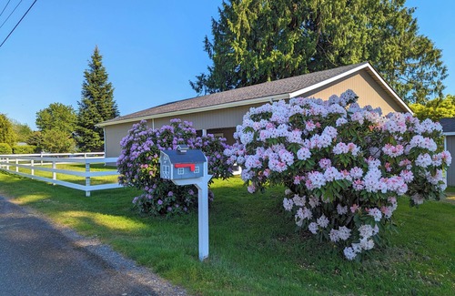 East Olympia House | Spacious 2BR house. Pet friendly with fenced yard. Outdoor covered patio.