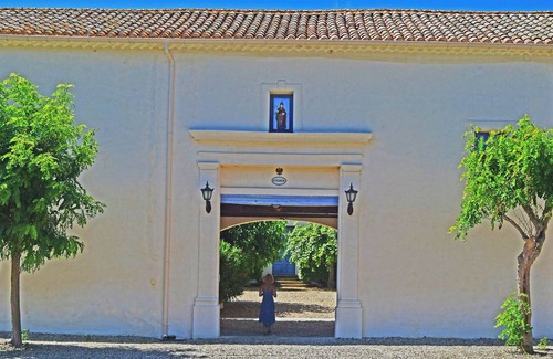 Nizas Villa | Spacious 3 bedroom vineyard villa, air conditioned, Domaine Saint Ferreol