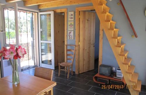 Messini House | Spacious chalet on a plot of 4000m2 with fruit trees near the beach in Messinia
