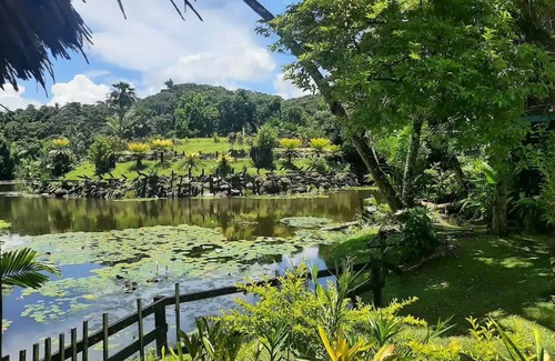 Pacific Harbour House | Spacious Private Room with EnSite & Secure Parking – Tranquil Stay