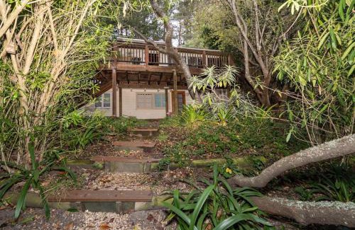 Tamalpais-Homestead Valley House | Spacious Serene Sanctuary- 14 min to Muir Woods