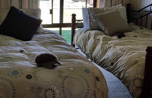 Big Hill Other | SPECIAL $240/n first 3 persons at ROLLING HILLS FARMSTAY at Big Hill, sleeps 16