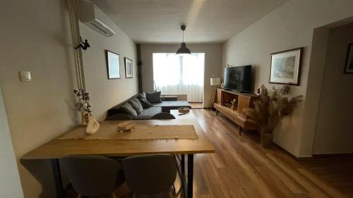 Sofia Apartment | Specious Modern Apartment