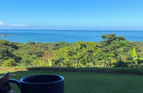 Dominicalito Condo | Spectacular Ocean Views - Condo in Dominical Area/4p Wi-Fi