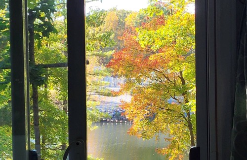 Washago Cottage | Spectacular Riverfront Cottage + Bunkie on Gravenhurst. Pet friendly