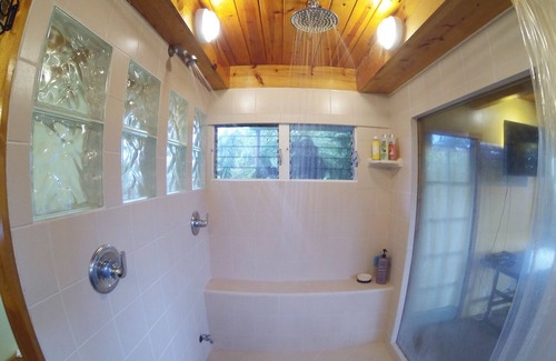 Pahoa House | Sprawling Mid-Century Hawaiian Home with Swimming Pool + Spa + AC!