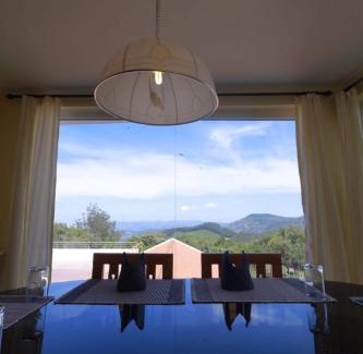 Ooty Hotel | Spring cottage