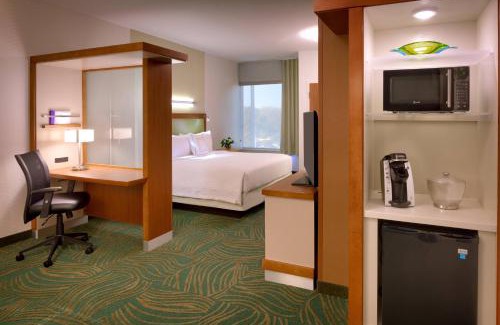 Houston Hotel | SpringHill Suites by Marriott Houston I-45 North