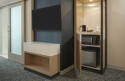 Downtown Tampa Hotel | SpringHill Suites by Marriott Tampa Downtown