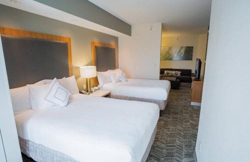Winston - Salem Hotel | SpringHill Suites by Marriott Winston-Salem Hanes Mall