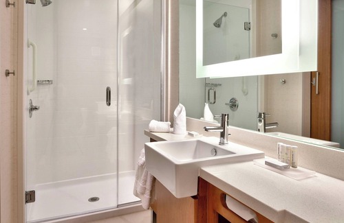 Houston Hotel | Springhill Suites Houston I-45 North
