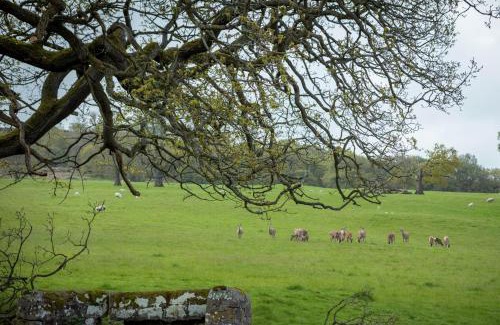 Baslow House | Stag Shepherds HutChatsworth Estate