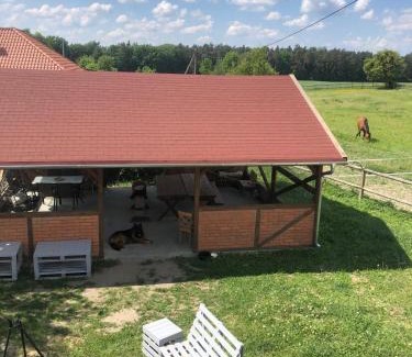 Ostrowin House | Stajnia Rogala