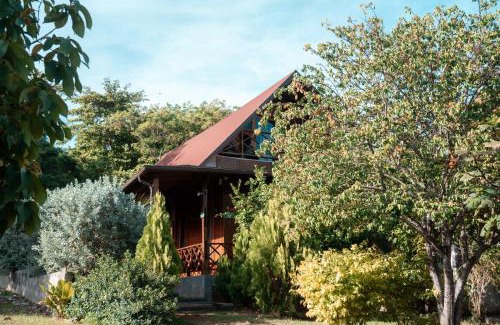Punta Sur Apartment | Star Apple Inn