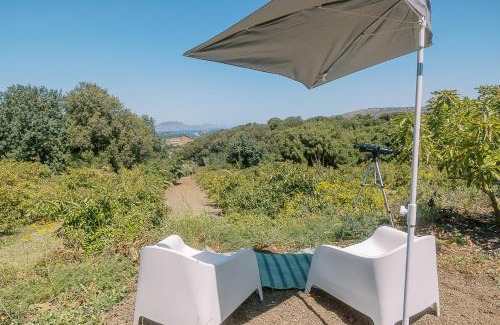 Kaloniktis Other | Star Sleep Kaloniktis Rethymno Olive Farm Escape
