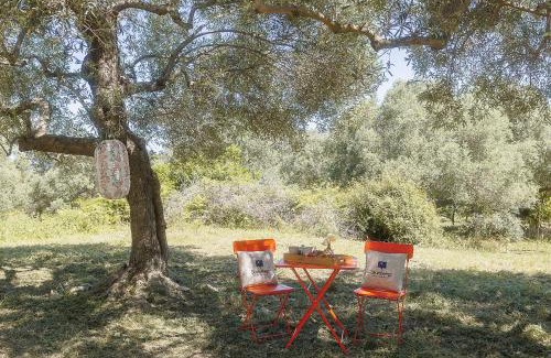 Kaloniktis Other | Star Sleep Kaloniktis Rethymno Olive Farm Escape