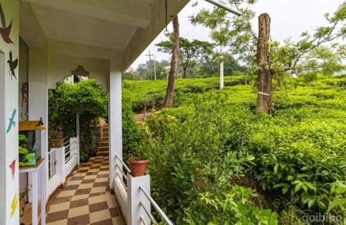 Chithirapuram Bed & Breakfast | Starlit holidays homes Chithirapuram near Munnar