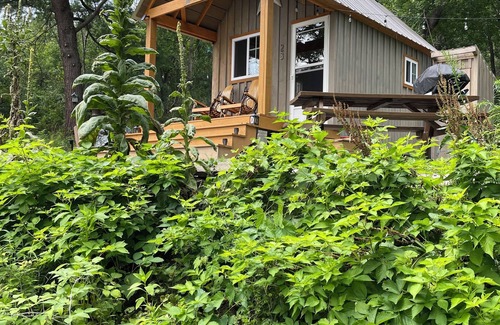 Hammondsport Cabin | STARWOOD - ROMANTIC - OFF GRID - WINE TRAIL CABIN - Pet Friendly! 4 Seasons