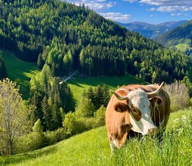 Rennweg am Katschberg Other | Stellplatz mit Aussicht auf Bergbauernhof