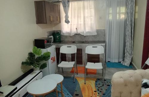Kenya Apartment | Steve Apartment