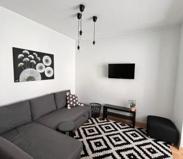 Druskininkai Apartment | Stilingi šaulio skulptūros apartamentai