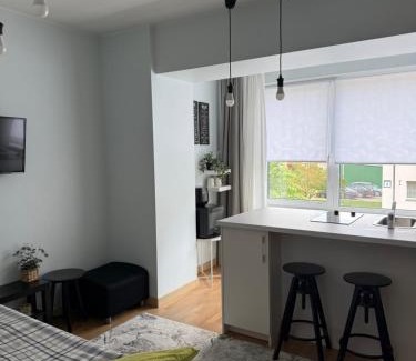 Druskininkai Apartment | Stilingi šaulio skulptūros apartamentai