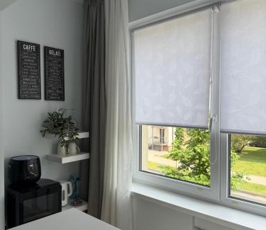Druskininkai Apartment | Stilingi šaulio skulptūros apartamentai
