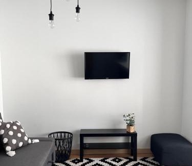 Druskininkai Apartment | Stilingi šaulio skulptūros apartamentai
