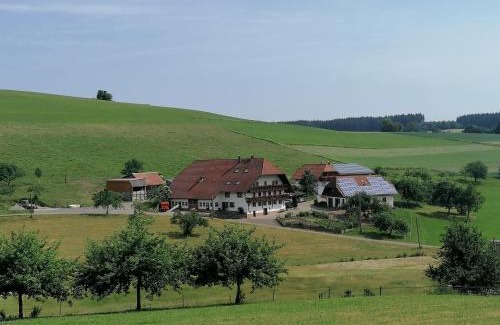 Elzach Apartment | Stockerhof