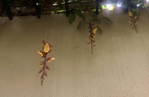 Padre Eustaquio Apartment | Studio Aconchegante e bem Localizado no Coração Eucarístico