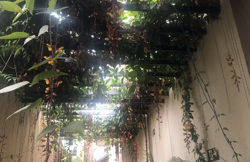 Padre Eustaquio Apartment | Studio Aconchegante e bem Localizado no Coração Eucarístico