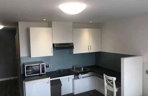 Belfast City Centre Apartment | Student Only Botanic Studios