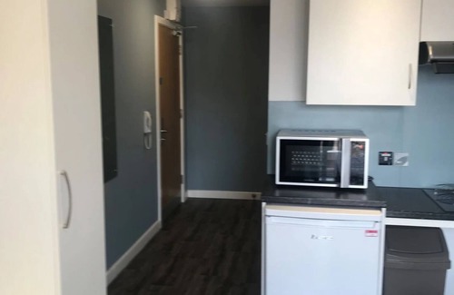 Belfast City Centre Apartment | Student Only Botanic Studios