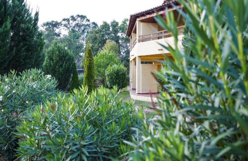 Ghisonaccia Apartment | Studio 2 ou 3 people, 150 m beach, near Ghisonaccia