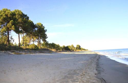 Ghisonaccia Apartment | Studio 2 ou 3 people, 150 m beach, near Ghisonaccia