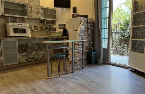 Amelie-les-Bains-Palalda Apartment | Studio 20m² avec balcon, jardinet, et WiFi au centre d'Amélie-Les-Bains - FR-1-659-80