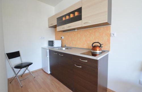 Trebon Apartment | Studio 37 Třeboň