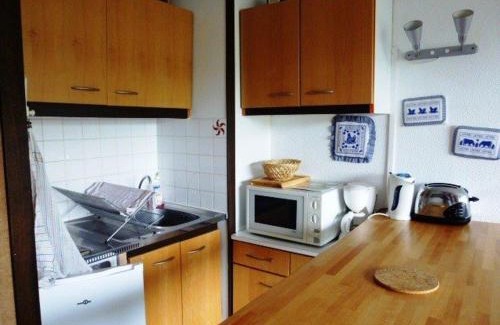 Arette Apartment | Studio 6 pers avec accès direct pistes, balcon et parking gratuit - FR-1-602-22