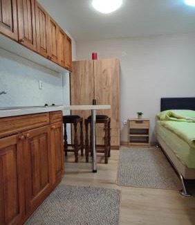 Varazdinske Toplice Apartment | Studio apartman Petra