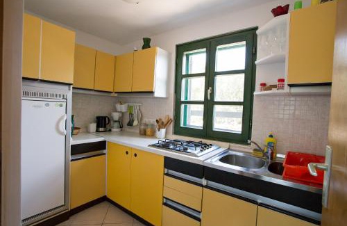 Molat Apartment | Studio apartman - MELLITUS