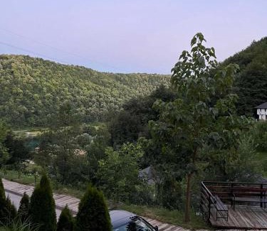 Mali Radic Apartment | Studio Apartment