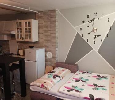 Ogulin Apartment | Studio Apartment Dunja