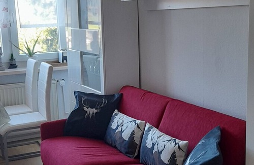 Baiersbronn Apartment | Studio Apartment 'Ferienappartement In Black Forest' with Mountain View, Shared Terrace and Wi-Fi